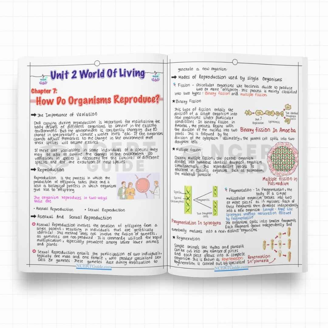 Class 10 Science Short Notes 2026-2027 - Image 3