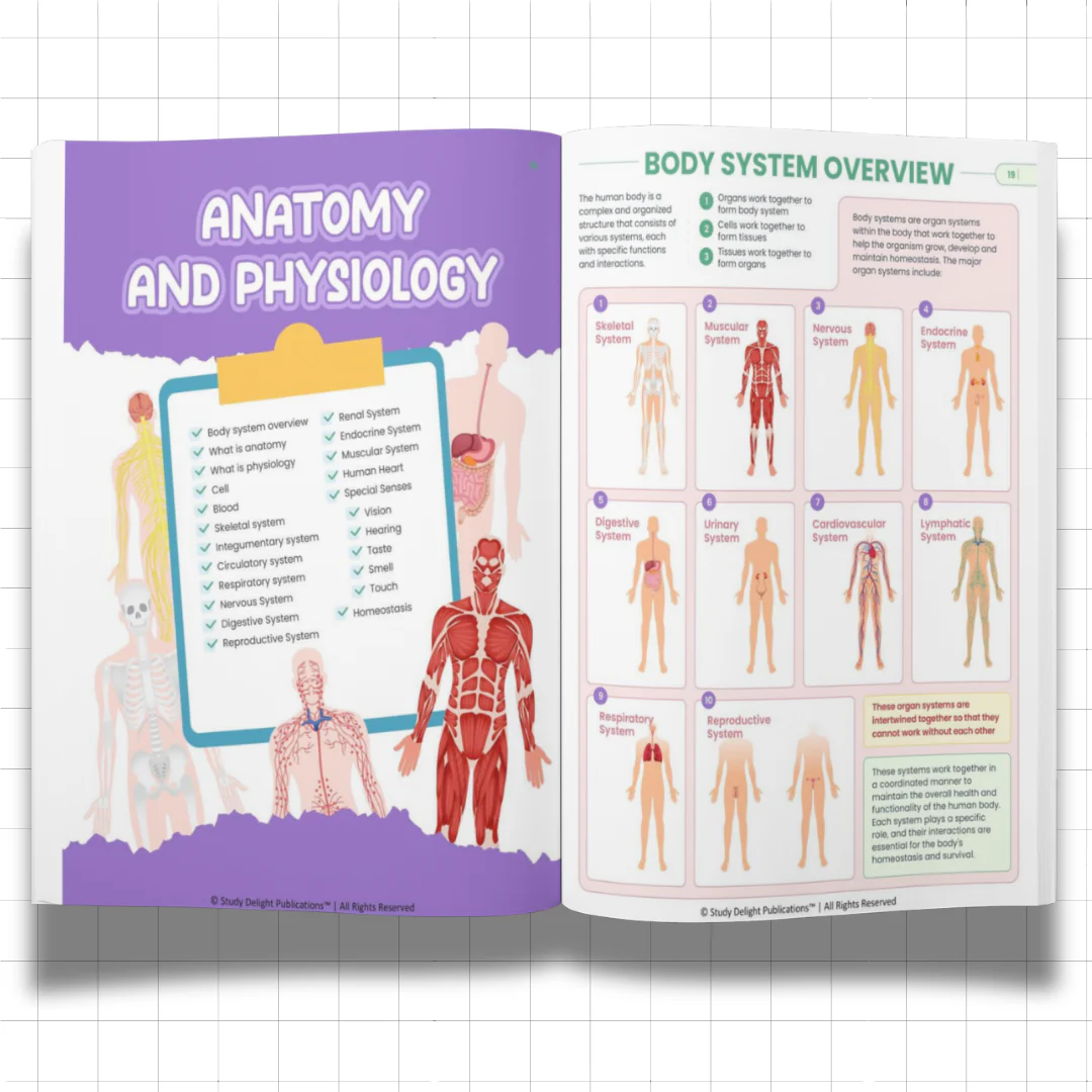 Nursing Mastery- All-in-One Visual Guide for Nursing Success - Image 2