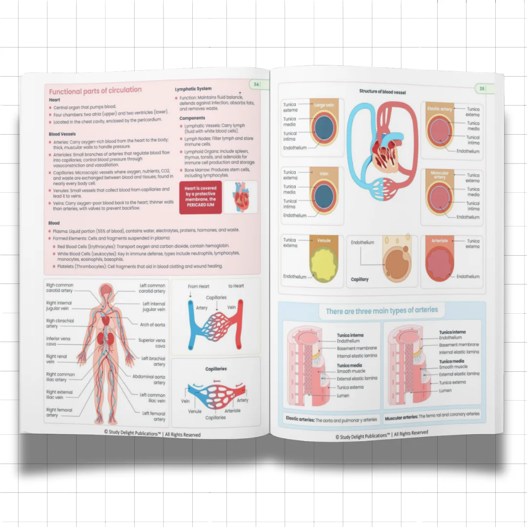 Nursing Mastery- All-in-One Visual Guide for Nursing Success - Image 3